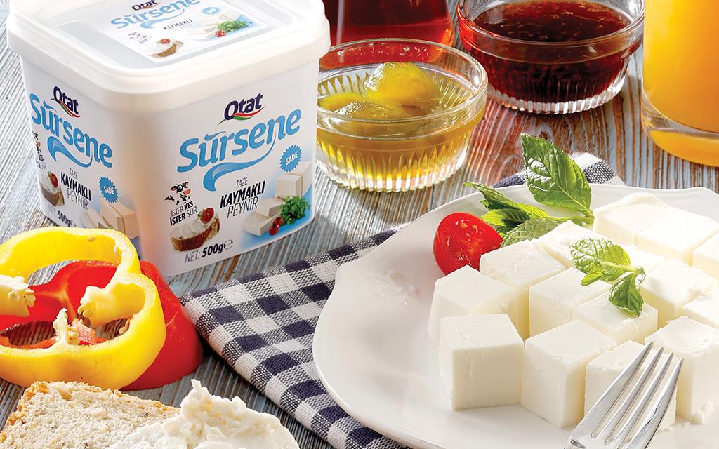 Sürsene Ailesi