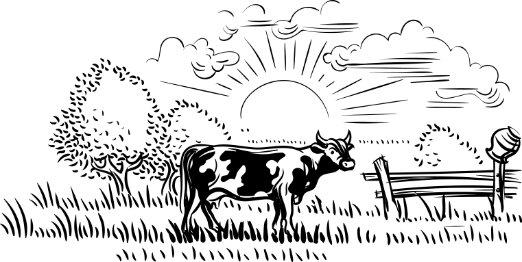 Otat Gıda